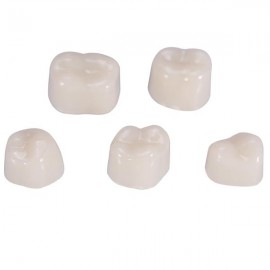 50Pcs/Box Dental Back Teeth Temporary Realistic Oral Care Resin Crown Molar Teeth